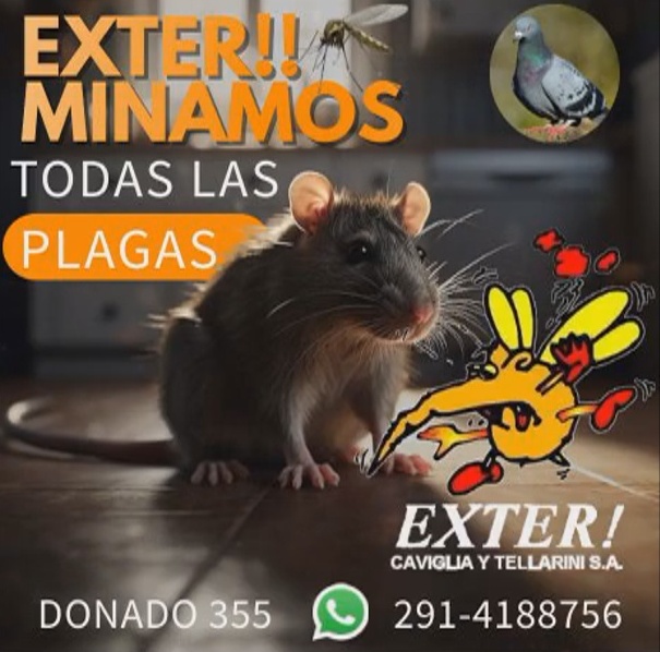 www.exter.com.ar